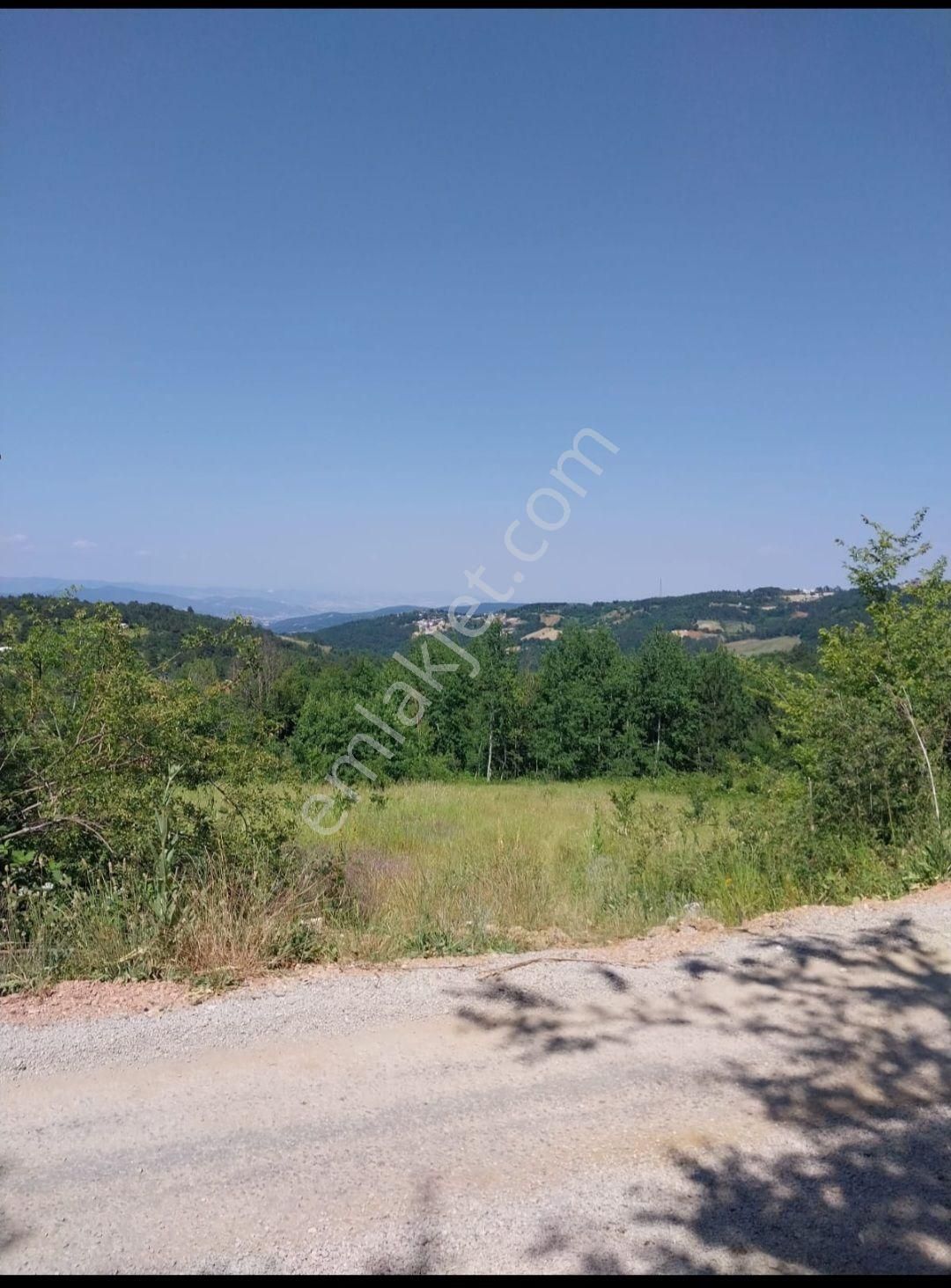 Elmas Gayrimenkul Den Kestel Orhanıye Satılık Ana Yola Cephe Tarla