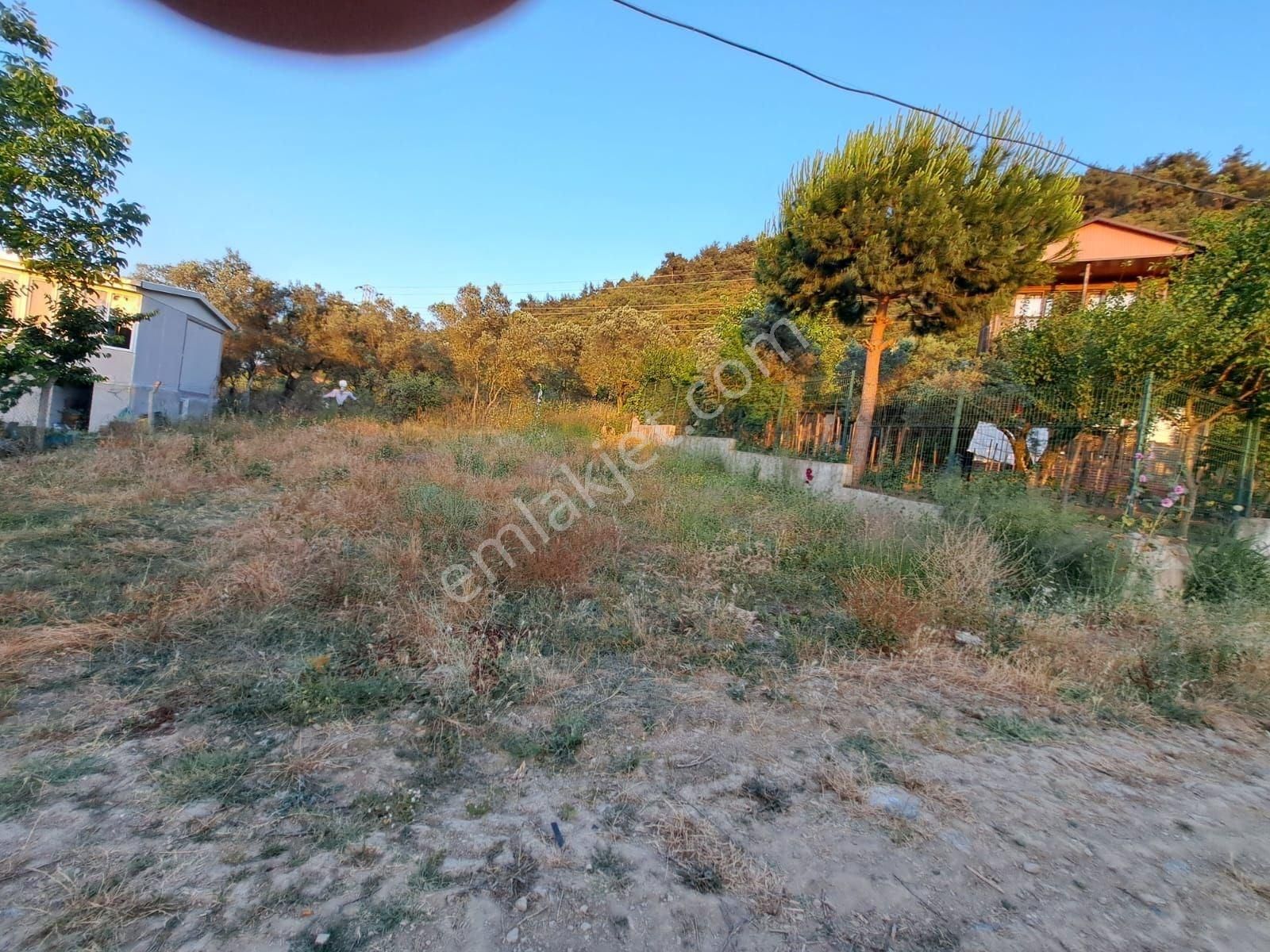 Gemlk Kurşunlu Da Satılık Villa İmarlı Arsa