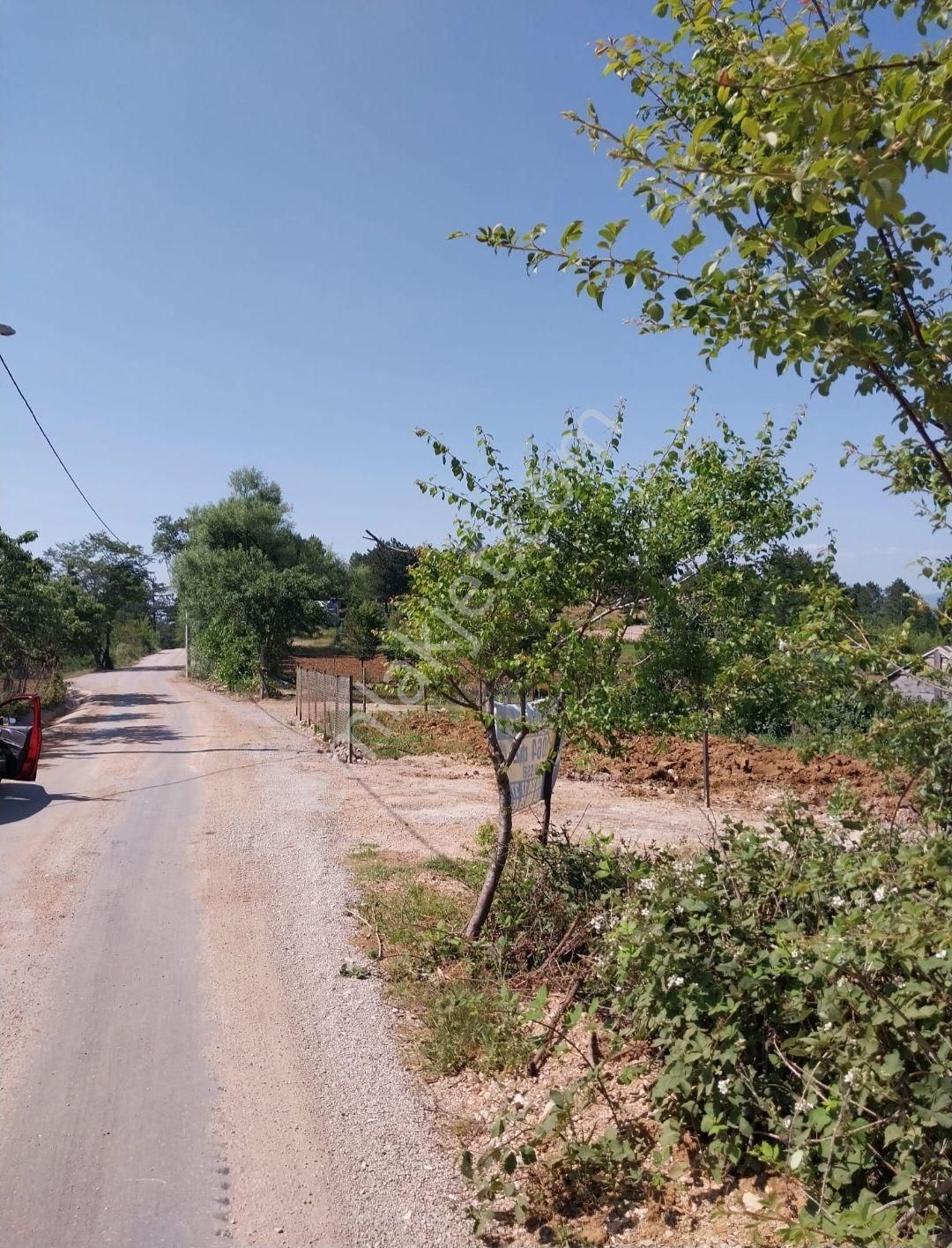 Kestel Orhanıye De Ana Yola Cephe Satılık Arsa