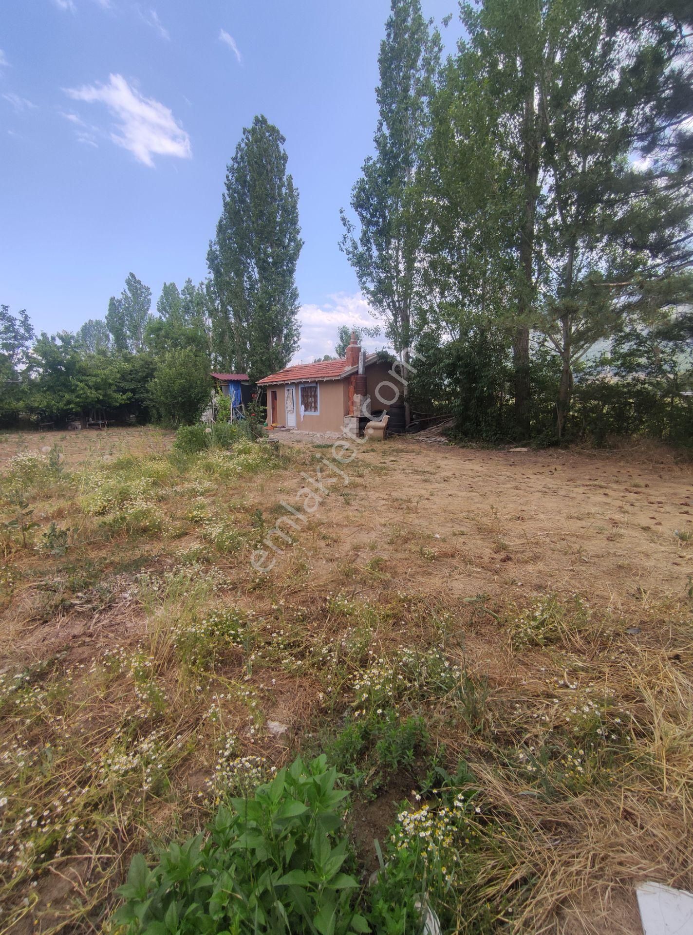 Özpınar ,dan Gökçehüyük M.satılık Bahçe Hissesi 1424 M2 Yolu-su Var - Görsel 11