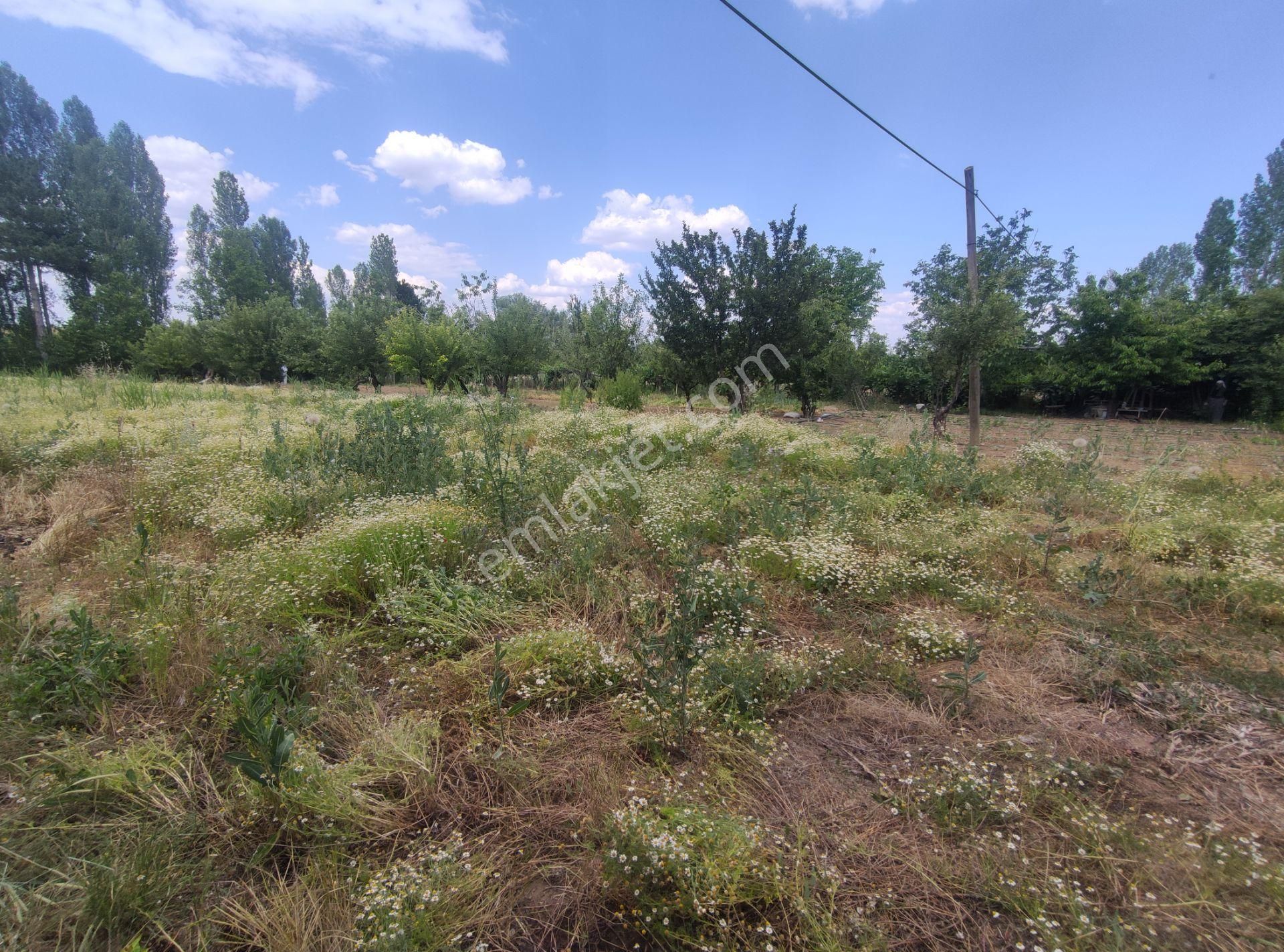 Özpınar ,dan Gökçehüyük M.satılık Bahçe Hissesi 1424 M2 Yolu-su Var - Görsel 12