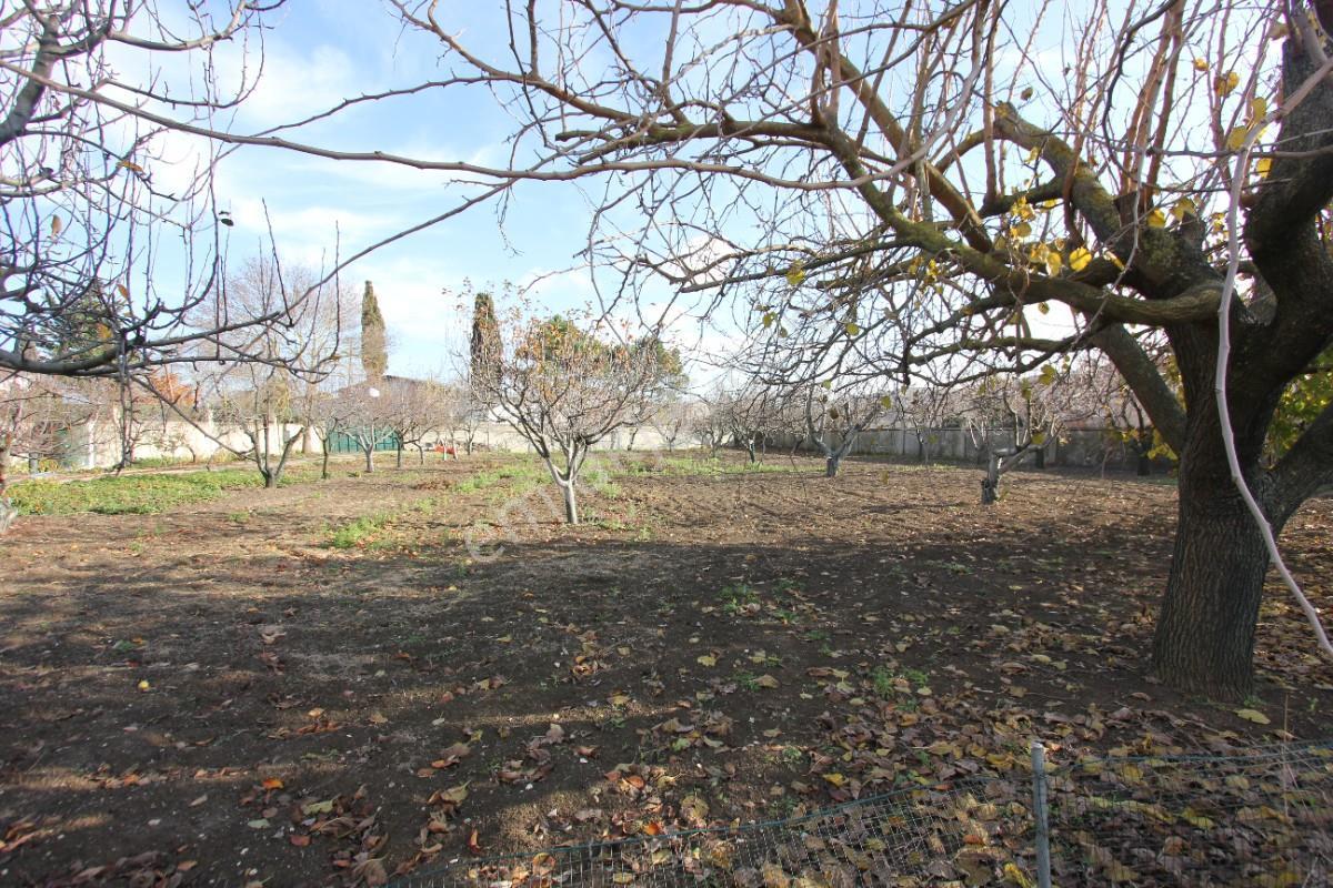 Çatalcada Müstakil Havuzlu Çift Katlı Havuzlu Villa - Görsel 31