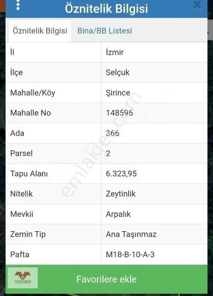 İzmir Selçuk Şirince (arpalık) Yatırımlık Zeytinlik.