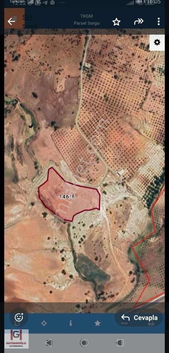 Beşkuyuda Satılık Kadastro Yolu Üzerinde Arazi