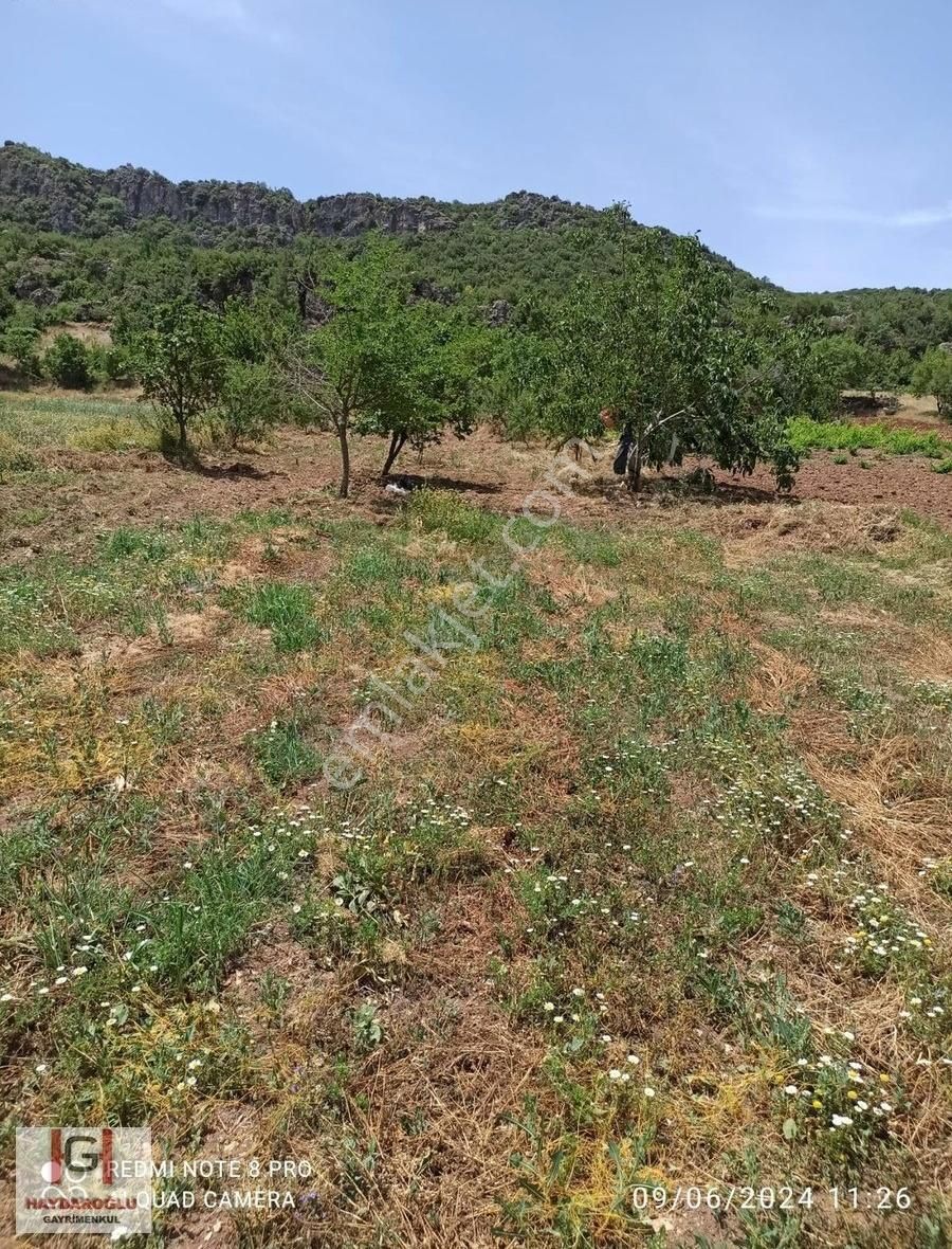 Acaroba'da Asfalt Üstü Satılık Bağ Evi Yapımına Uygun Arsa