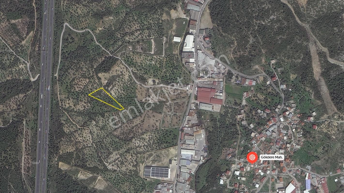 Kw Cobans'dan İzmir Bornova Gökdere’de Yatırımlık Zeytinlik Tarla – Acil Satılık!