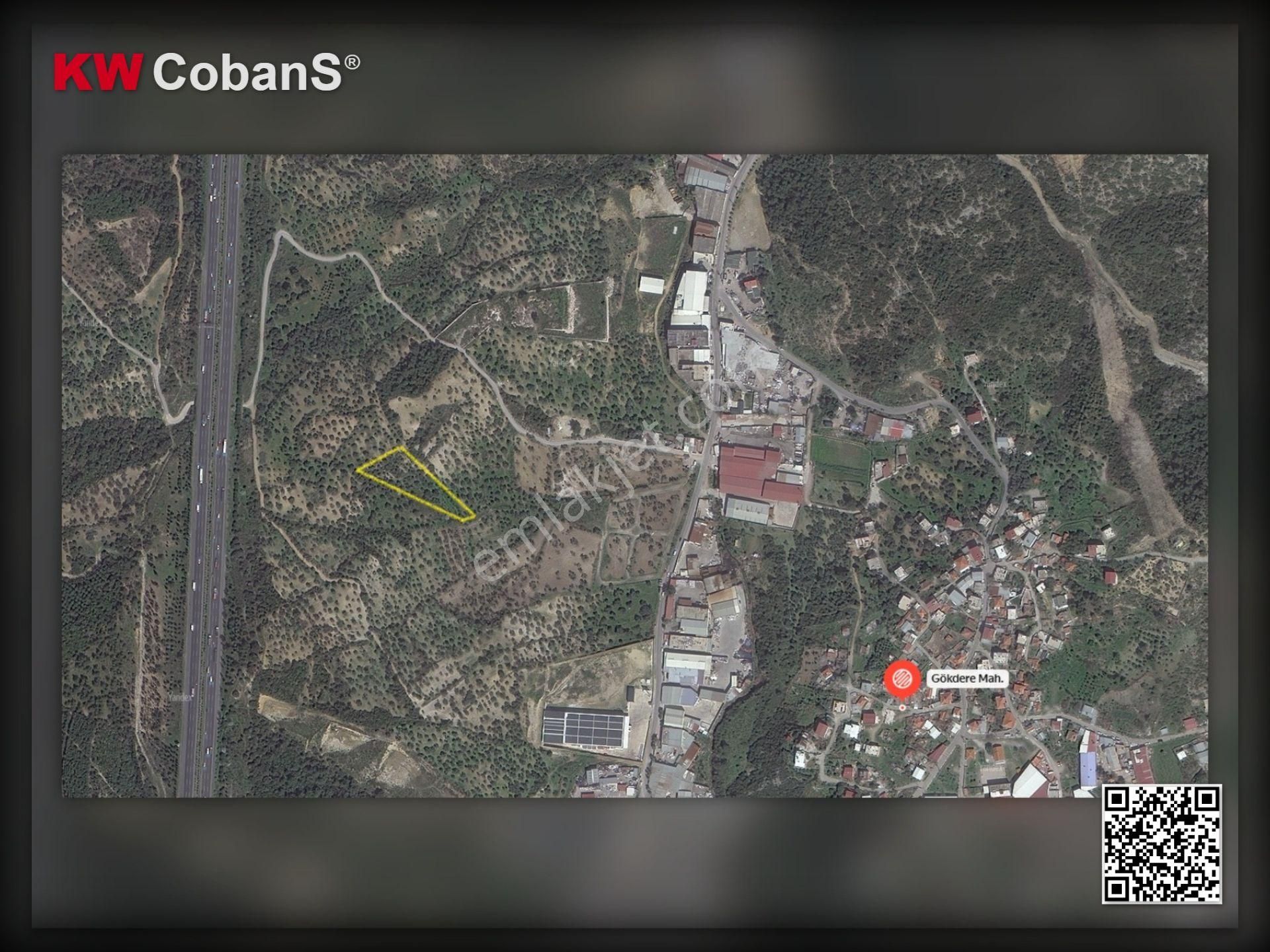 Kw Cobans'dan İzmir Bornova Gökdere’de Yatırımlık Zeytinlik Tarla – Acil Satılık! - Görsel 3