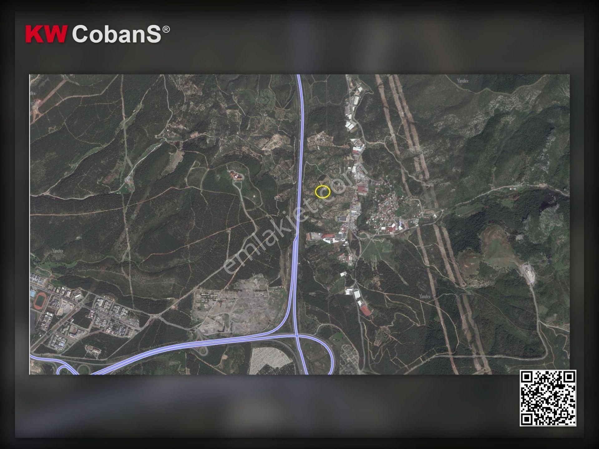 Kw Cobans'dan İzmir Bornova Gökdere’de Yatırımlık Zeytinlik Tarla – Acil Satılık! - Görsel 4
