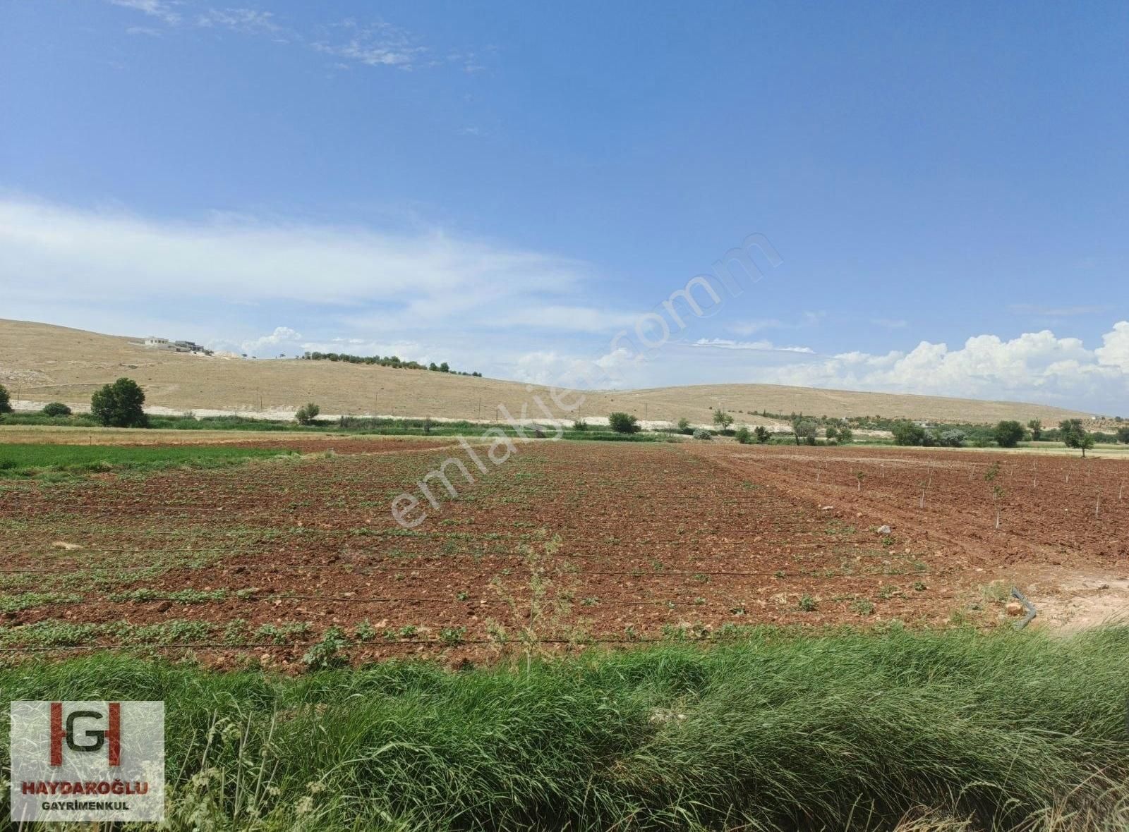 Suboğazında Satılık Bağevlik Ve Yatırımlık Arazi.