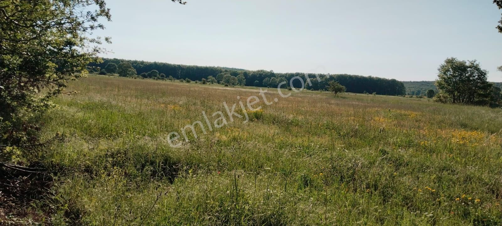 Asker Emlak'tan Unçukuru'da Satılık Tarla - Görsel 5