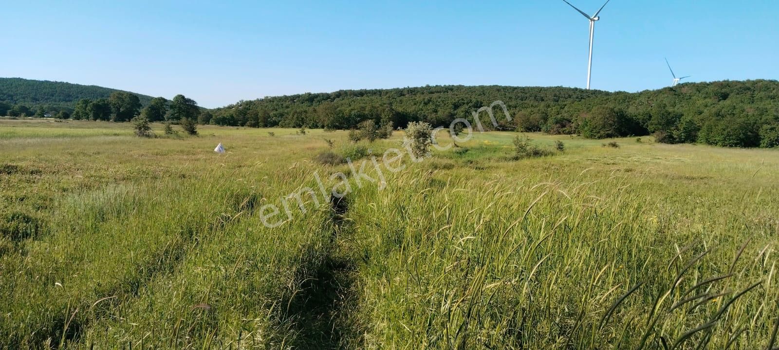 Asker Emlak'tan Unçukuru'da Satılık Tarla - Görsel 6