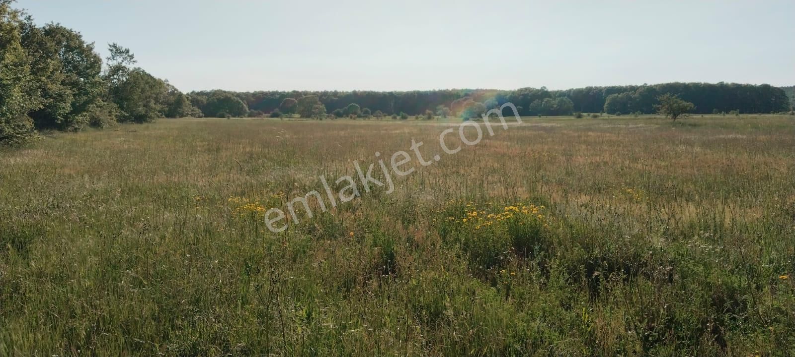 Asker Emlak'tan Unçukuru'da Satılık Tarla - Görsel 3