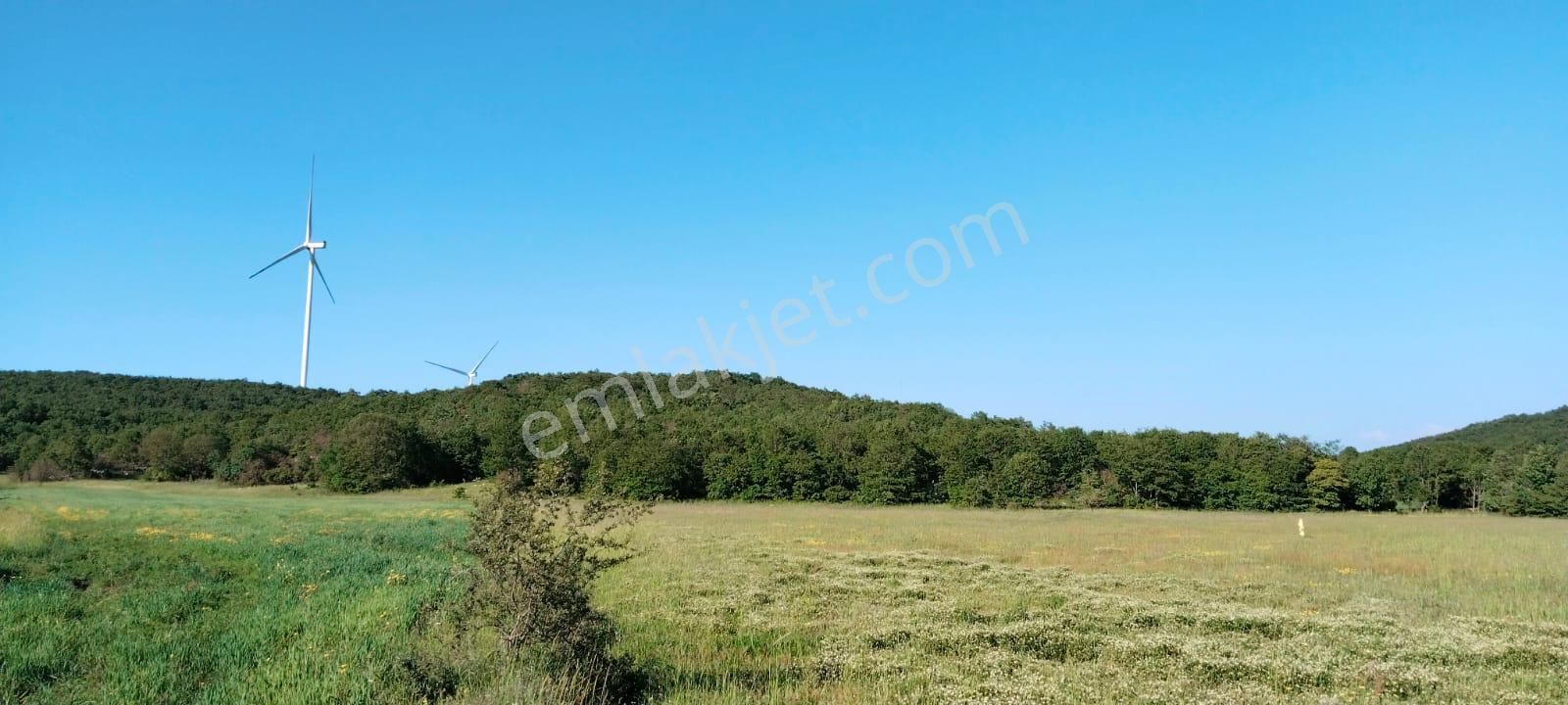 Asker Emlak'tan Unçukuru'da Satılık Tarla - Görsel 9