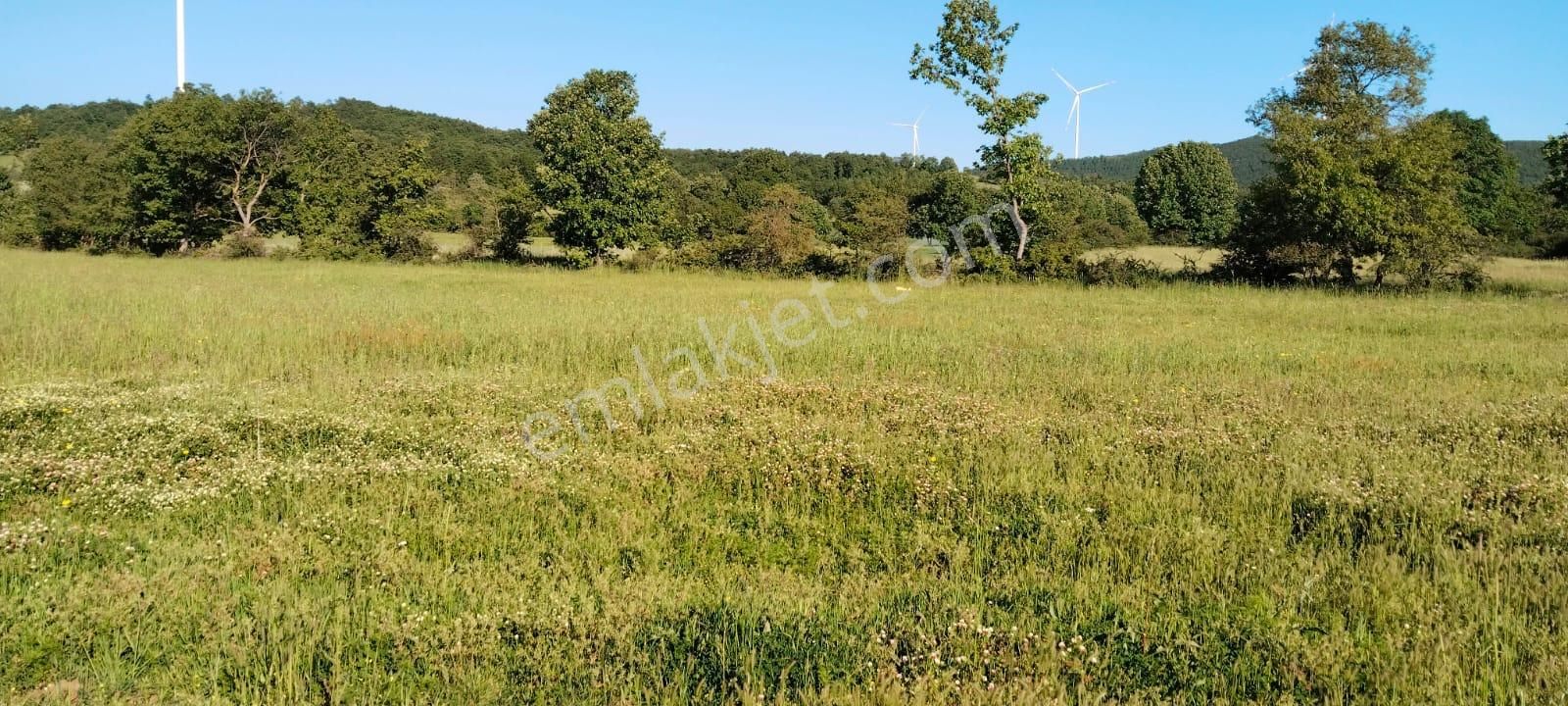 Asker Emlak'tan Unçukuru'da Satılık Tarla - Görsel 7