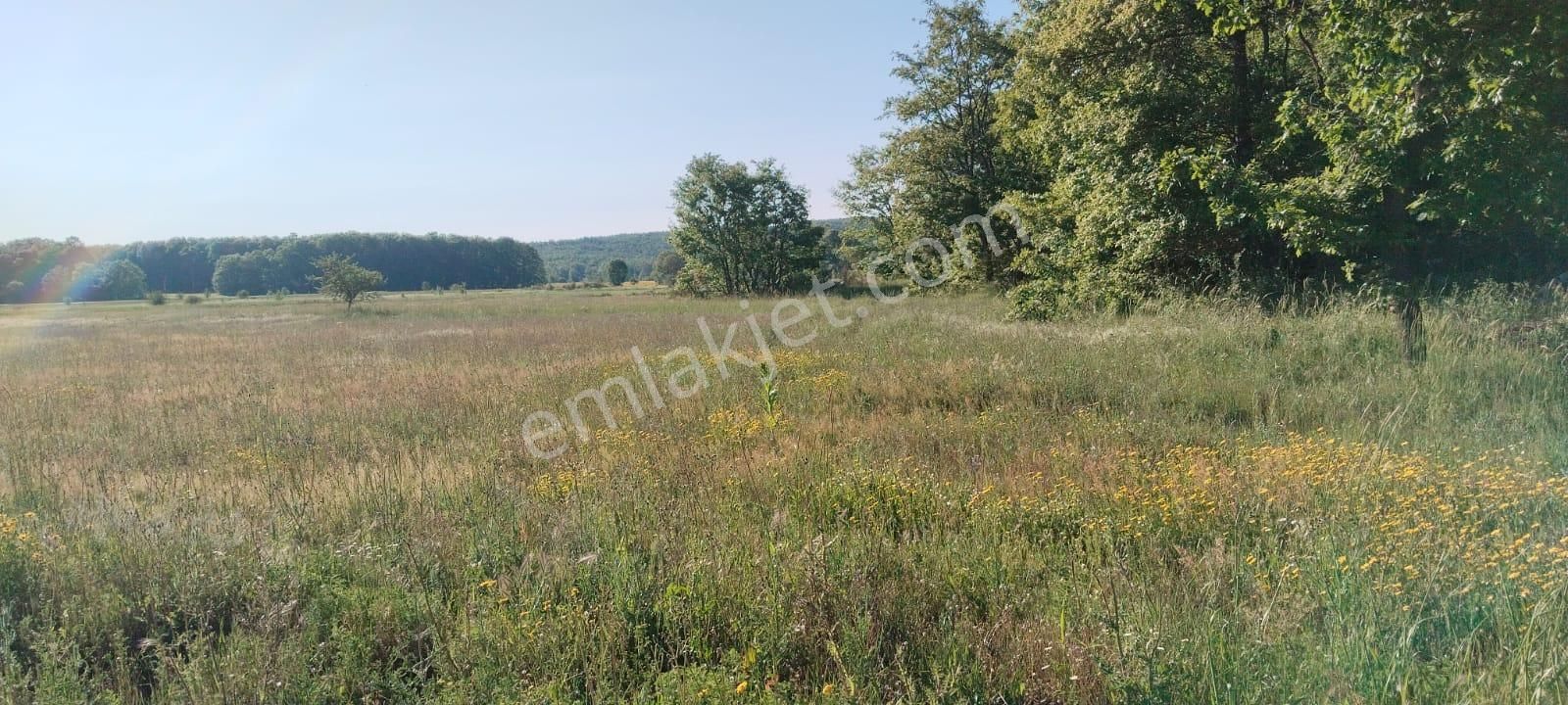 Asker Emlak'tan Unçukuru'da Satılık Tarla - Görsel 2