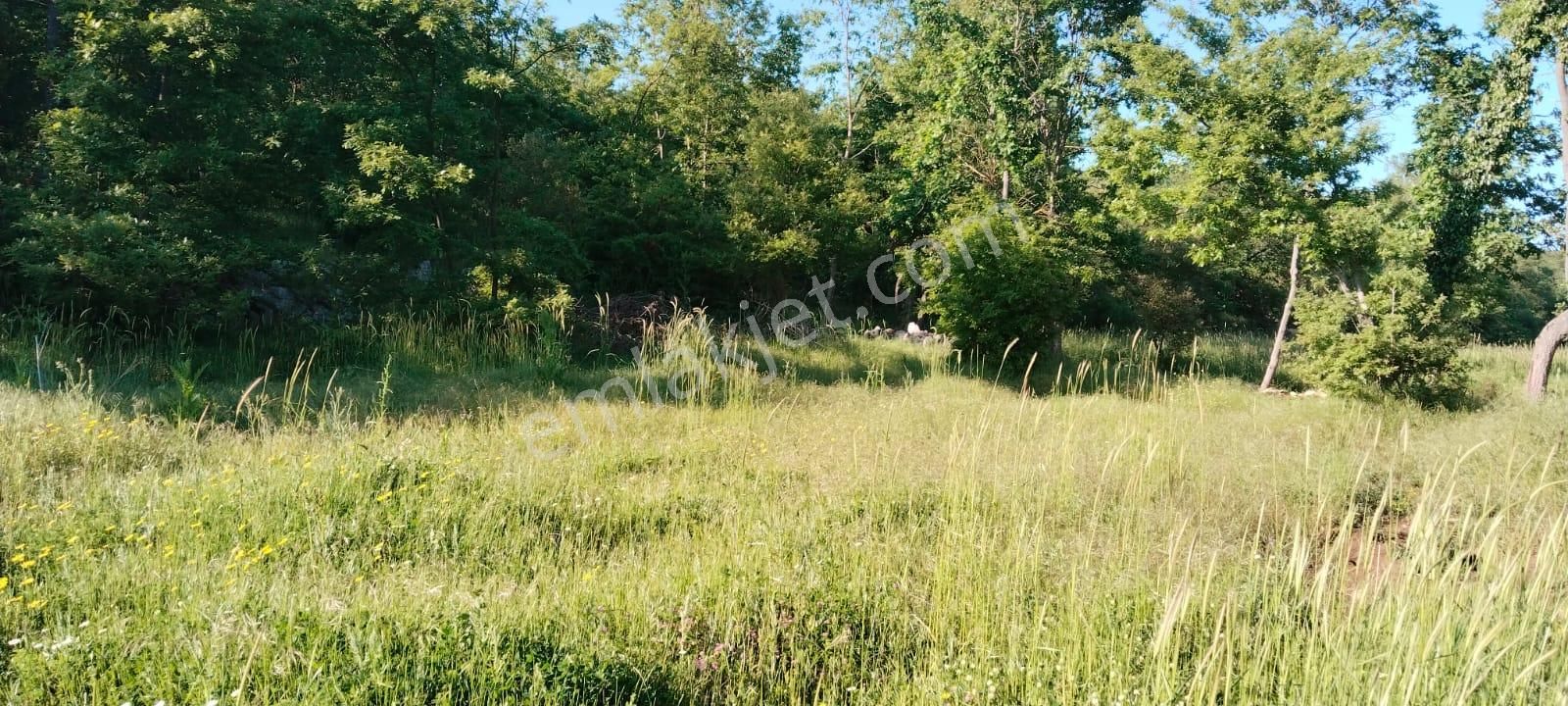 Asker Emlak'tan Unçukuru'da Satılık Tarla - Görsel 4