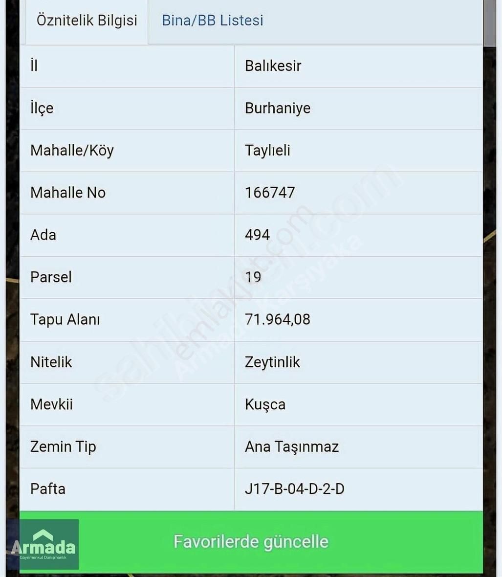 Burhaniye Taylıelide Eşsiz Manzaralı Satılık 72 Dönüm Zeytinlik
