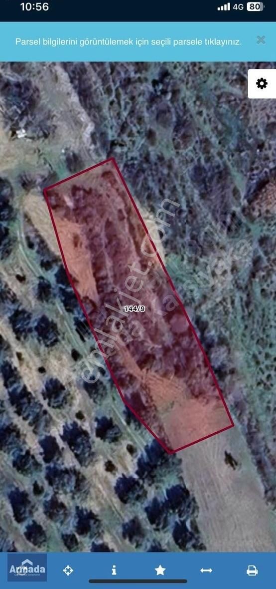 Balıkesir Burhaniye Hisarköy Mah Kulfak Mevkii Satılık Tarla