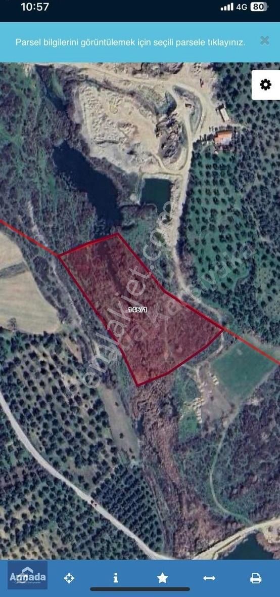 Balıkesir Burhaniye Hisar Mh Kulfak Mevkii Satılık 16589m2 Tarla