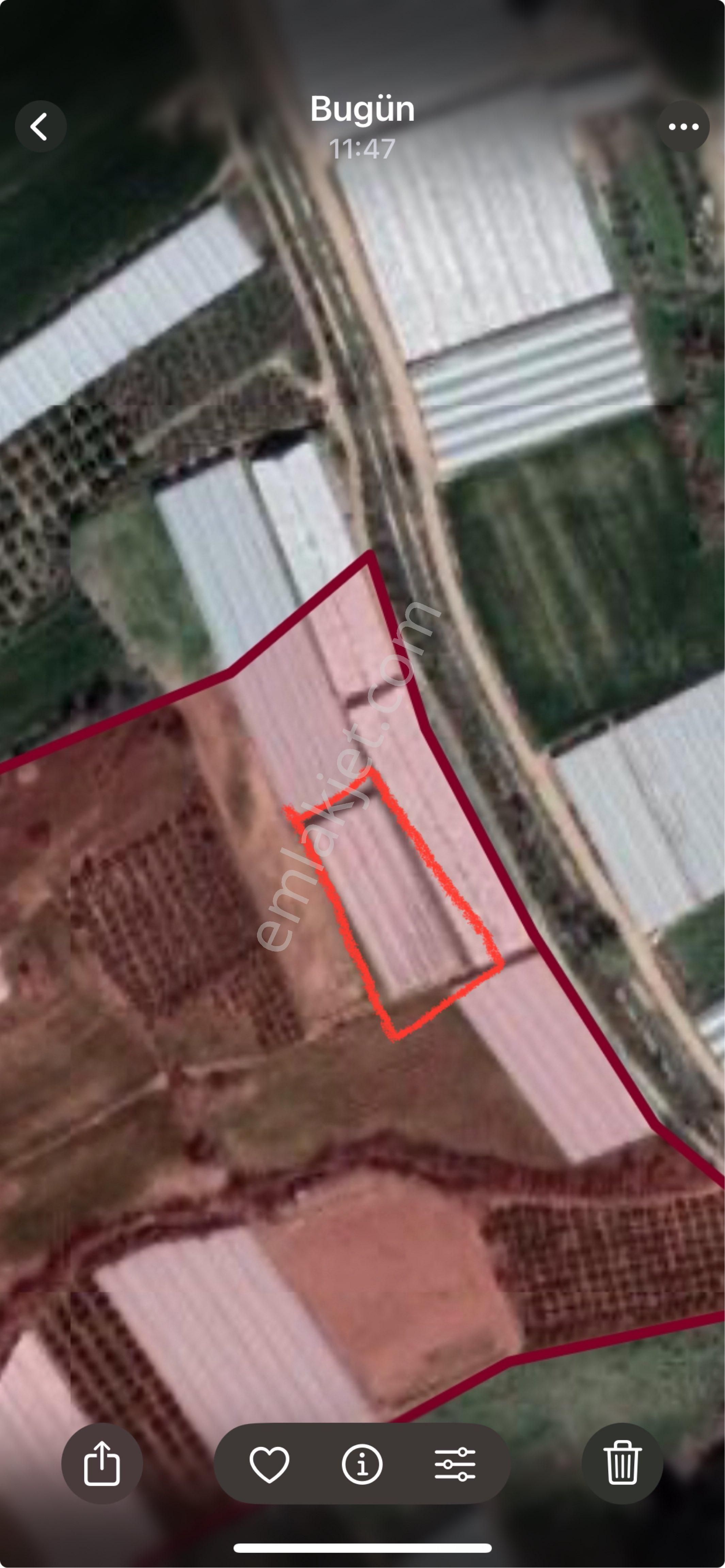 Kayaburnu Köyünde 1131 M2 Sera