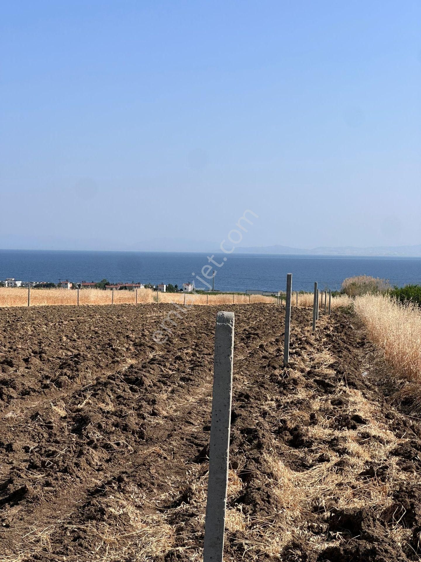 Çeşmeli Köşe Kazıkları Çakılı Bu Haftaya Özel 500m Kelepir Arsa