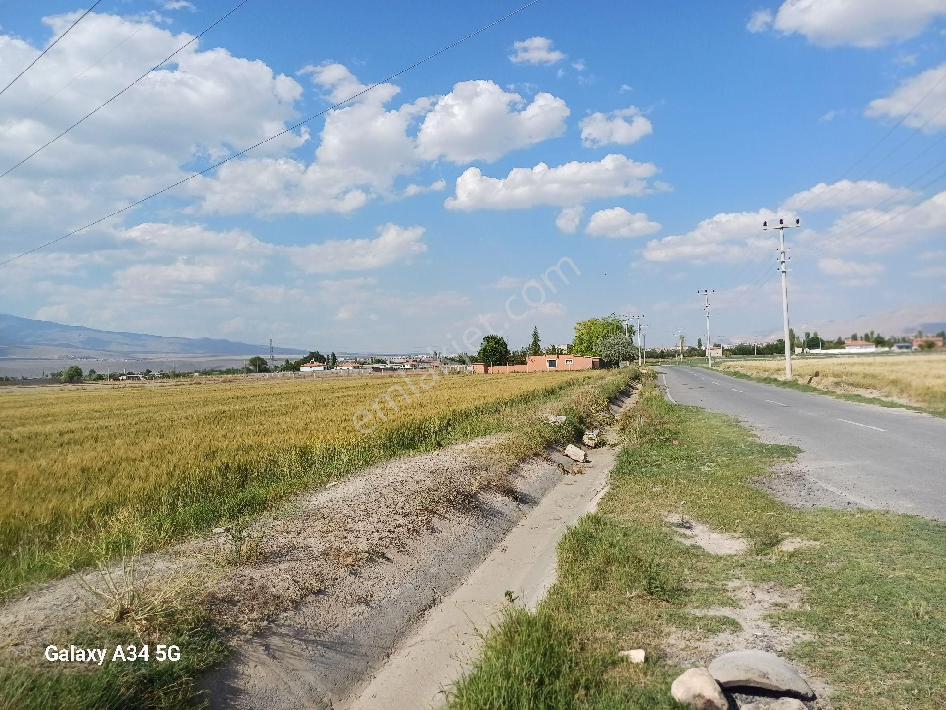 Niğde Bor Acıgöl Mahallesinde Satılık Verimli Tarla - Görsel 8