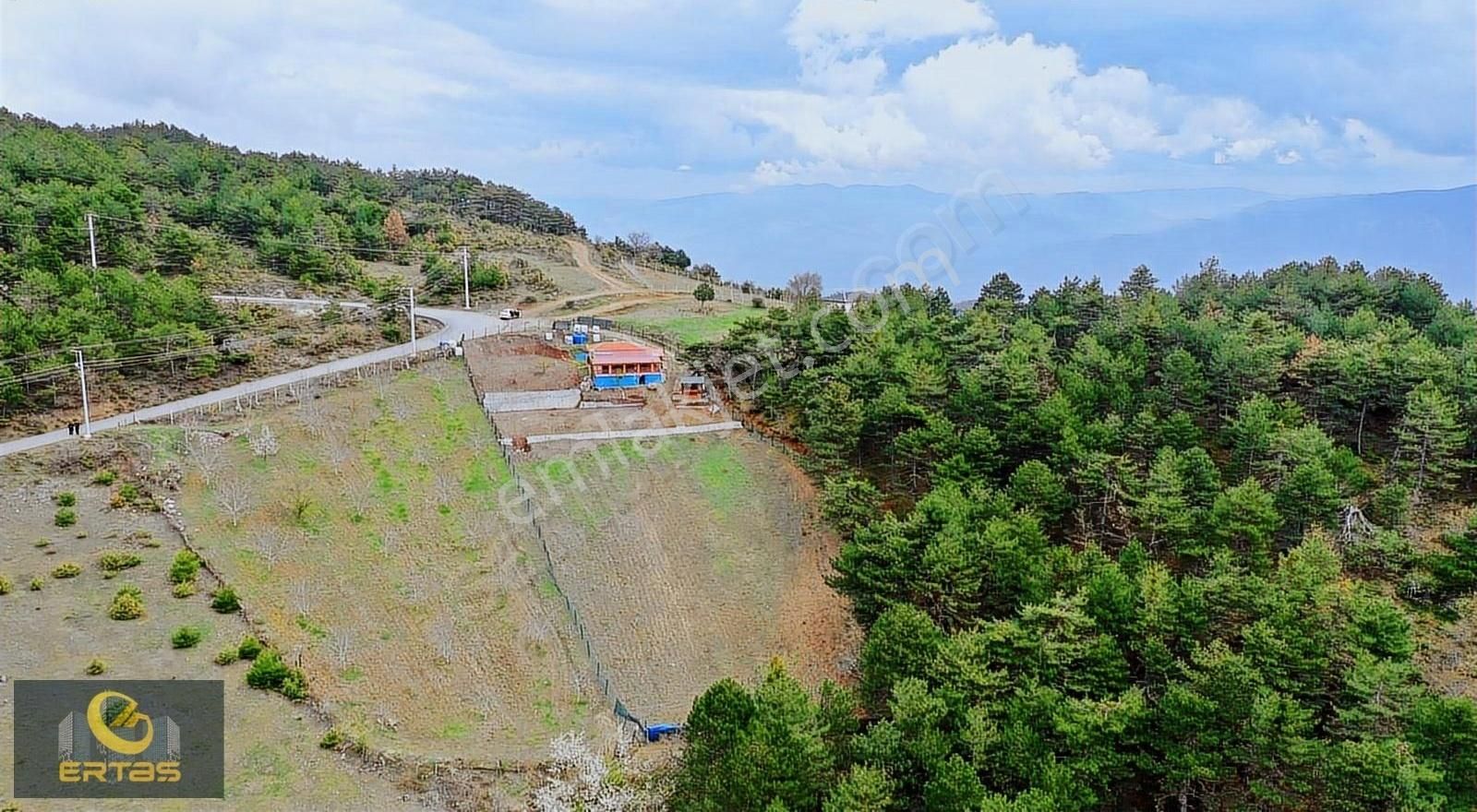 Sakarya Pamukova Ağaçcılar'da 2.867 M2 Resmi Yollu Satılık Tarla