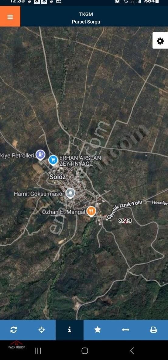 Sölözde Köy Mücavir Alanda Satılık Zeytinlik