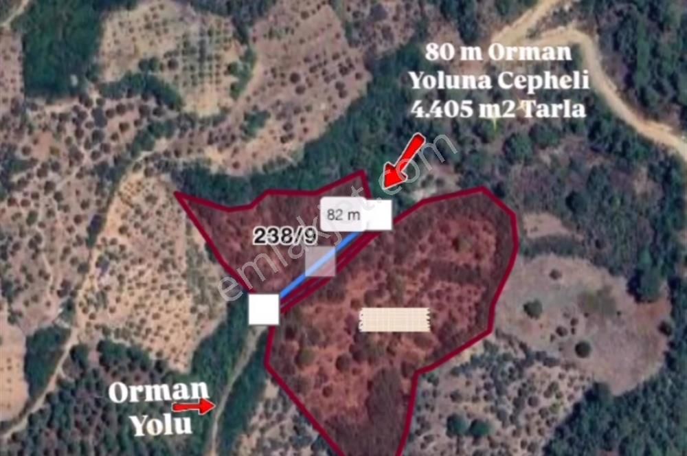 İzmir Bayındır Sarıyurt Mahallesi’nde 4405 M² Satılık Tarla! - Görsel 2