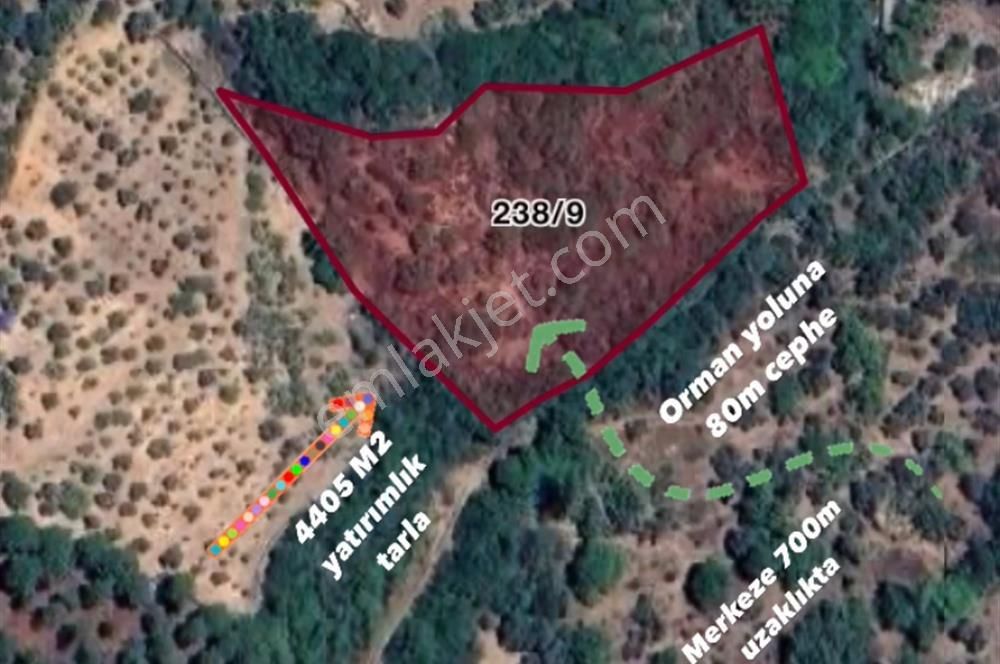 İzmir Bayındır Sarıyurt Mahallesi’nde 4405 M² Satılık Tarla! - Görsel 4