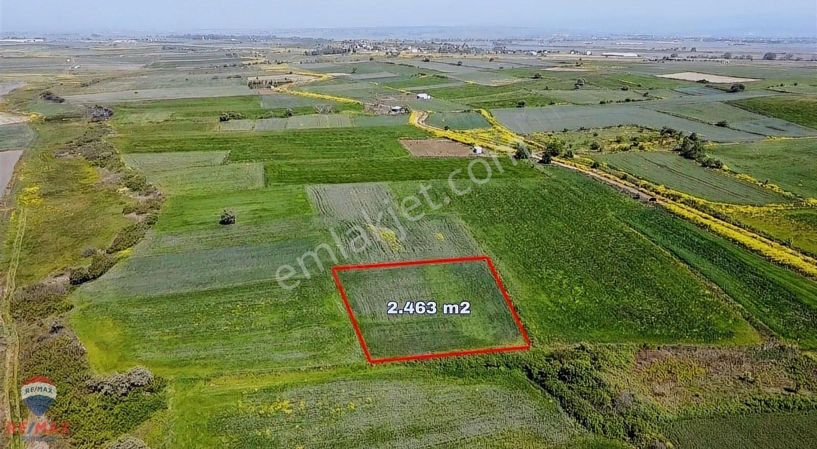 Remax Canbek Tarba -güleçköy- Tarla Fırsatı ! - Görsel 2