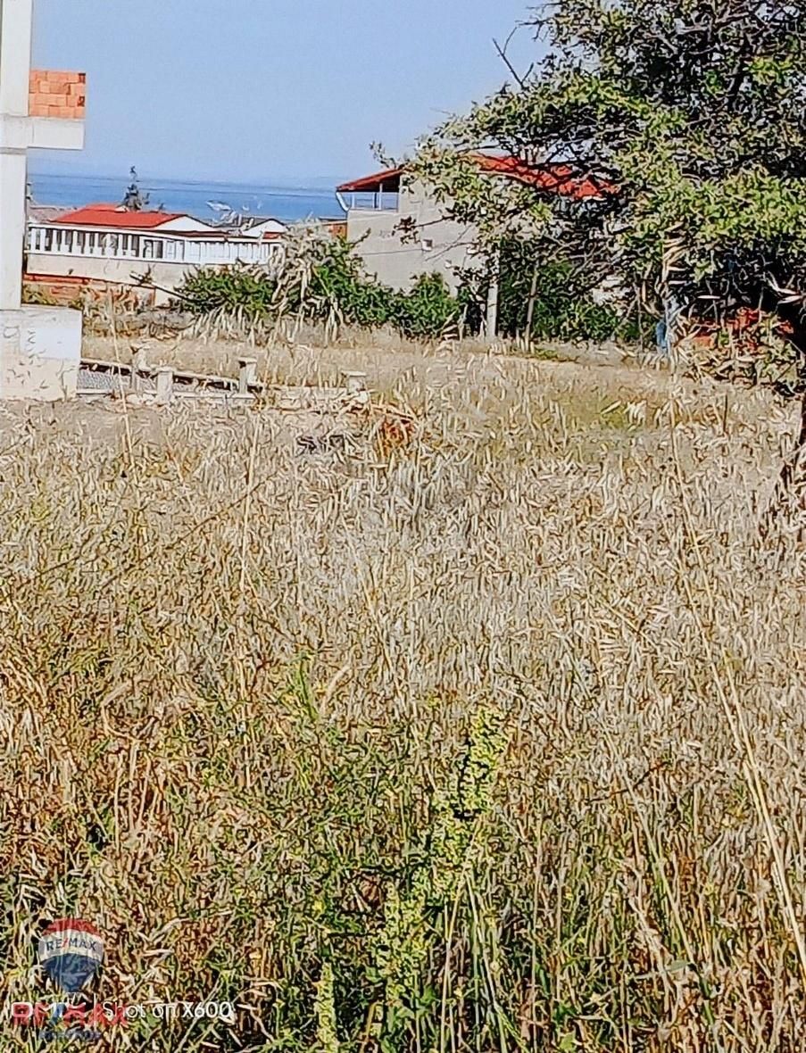 Karabiga Zeytinlik Mah. Deniz Ve Doğa Manzaralı Yatırımlık Arsa
