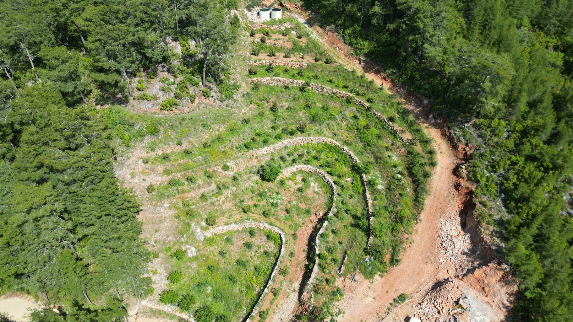 Alanya Obaalacamii De Satılık 12 Dönüm Kurulu Düzen Tarla - Görsel 22