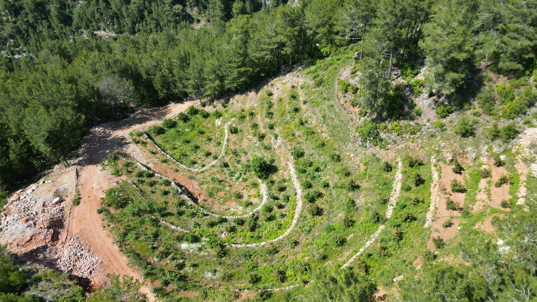 Alanya Obaalacamii De Satılık 12 Dönüm Kurulu Düzen Tarla - Görsel 15