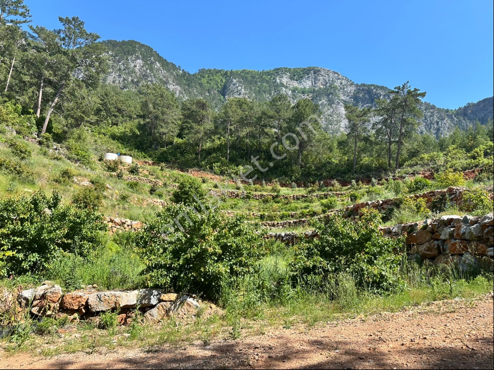 Alanya Obaalacamii De Satılık 12 Dönüm Kurulu Düzen Tarla - Görsel 28