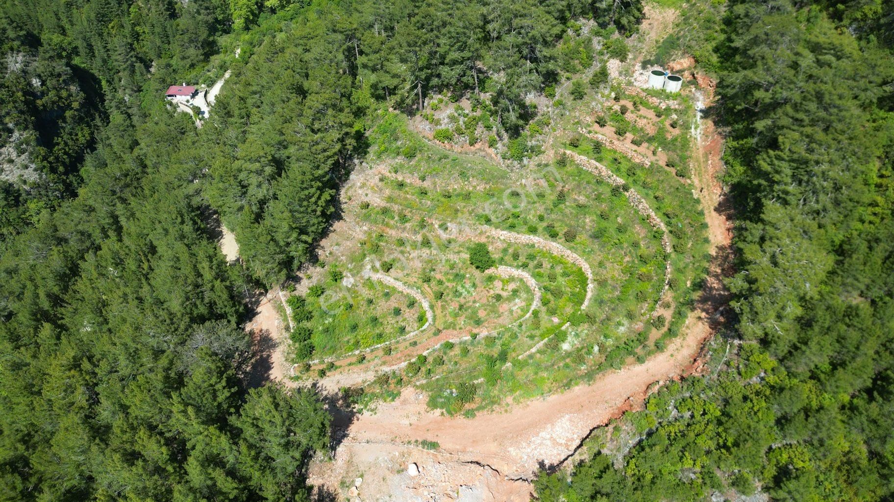 Alanya Obaalacamii De Satılık 12 Dönüm Kurulu Düzen Tarla - Görsel 17