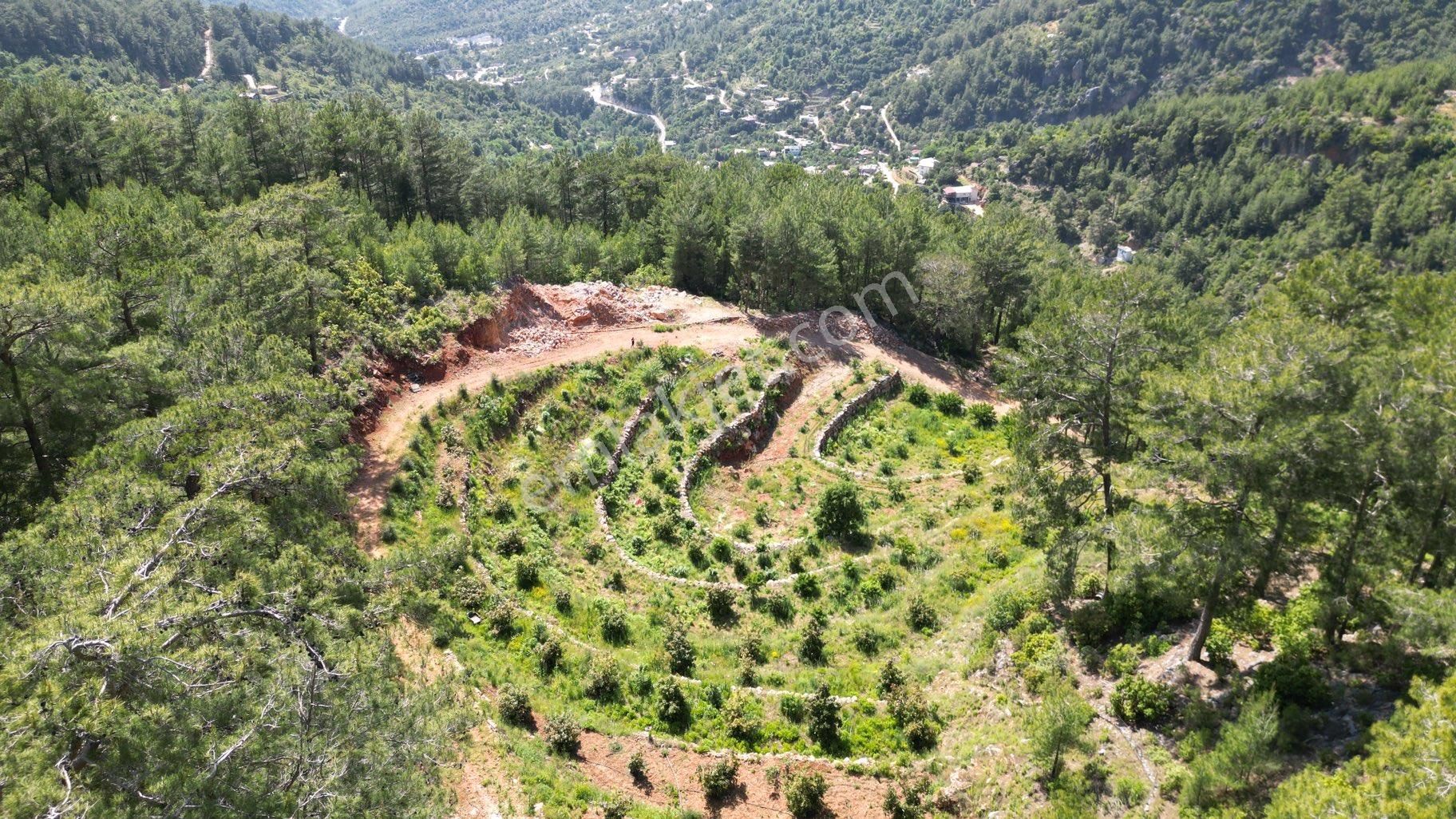 Alanya Obaalacamii De Satılık 12 Dönüm Kurulu Düzen Tarla - Görsel 7