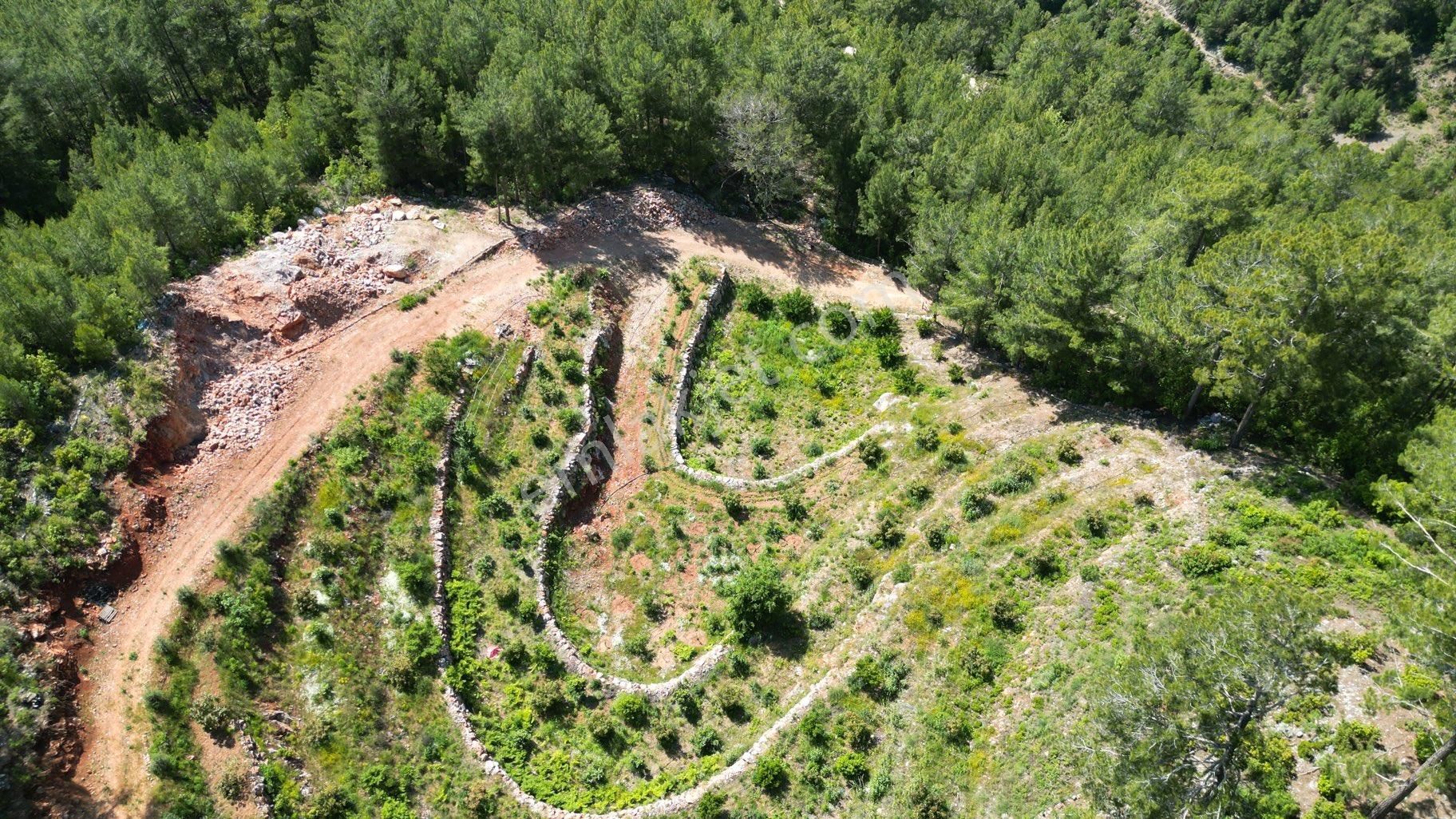 Alanya Obaalacamii De Satılık 12 Dönüm Kurulu Düzen Tarla - Görsel 12