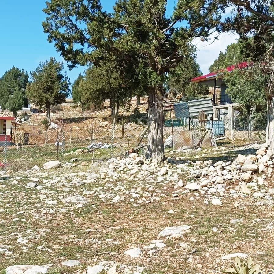 Pozantı Aşçı Bir Gelirse Aşçibekirli Fenese Mevkiinde Satılık Arsa - Görsel 8