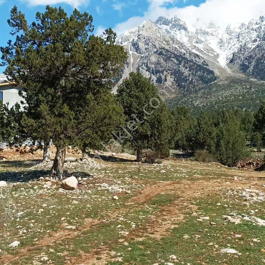 Pozantı Aşçı Bir Gelirse Aşçibekirli Fenese Mevkiinde Satılık Arsa - Görsel 9