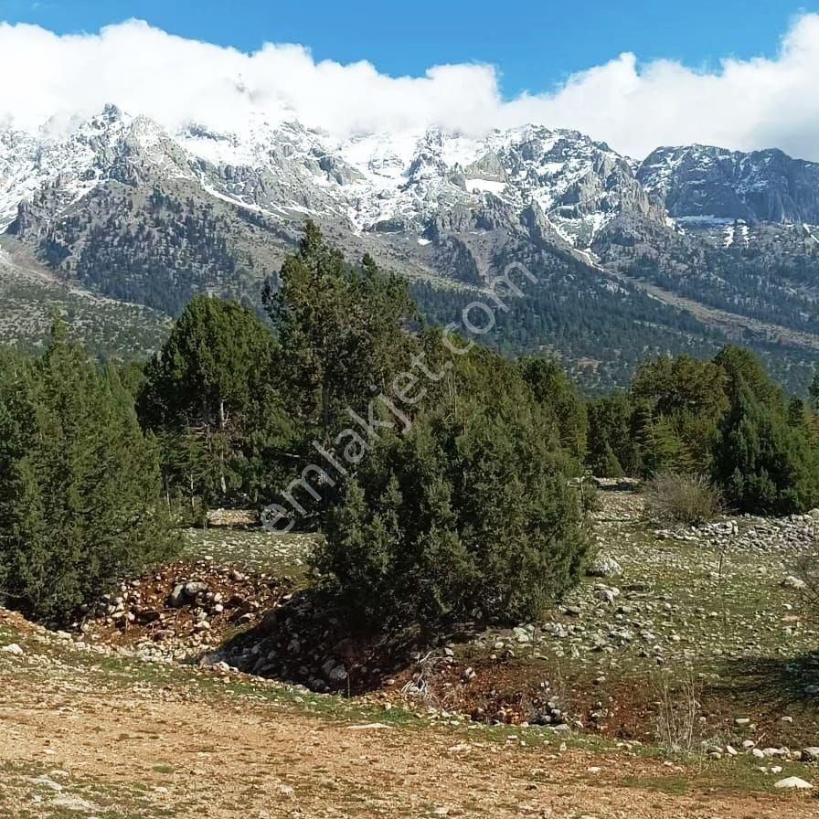 Pozantı Aşçı Bir Gelirse Aşçibekirli Fenese Mevkiinde Satılık Arsa - Görsel 7
