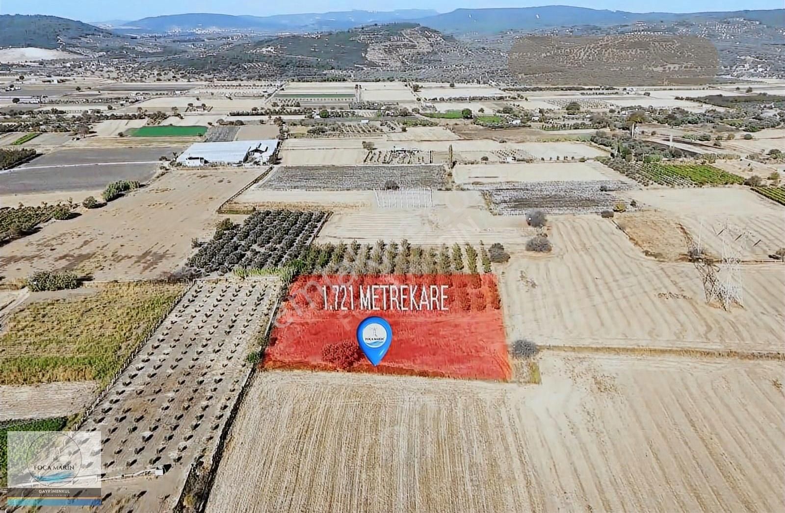Helvacı B.hayrettin Paşa 1.721 M2 Ceviz Bahçesi