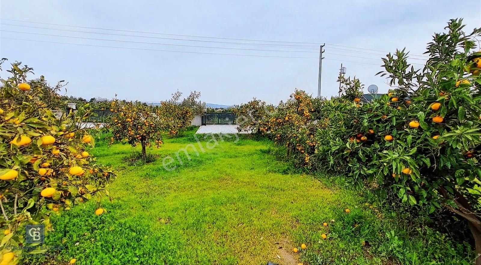 Seferihisar'da Projelendirilmiş Müstakil Girişli Satılık Bahçe - Görsel 6