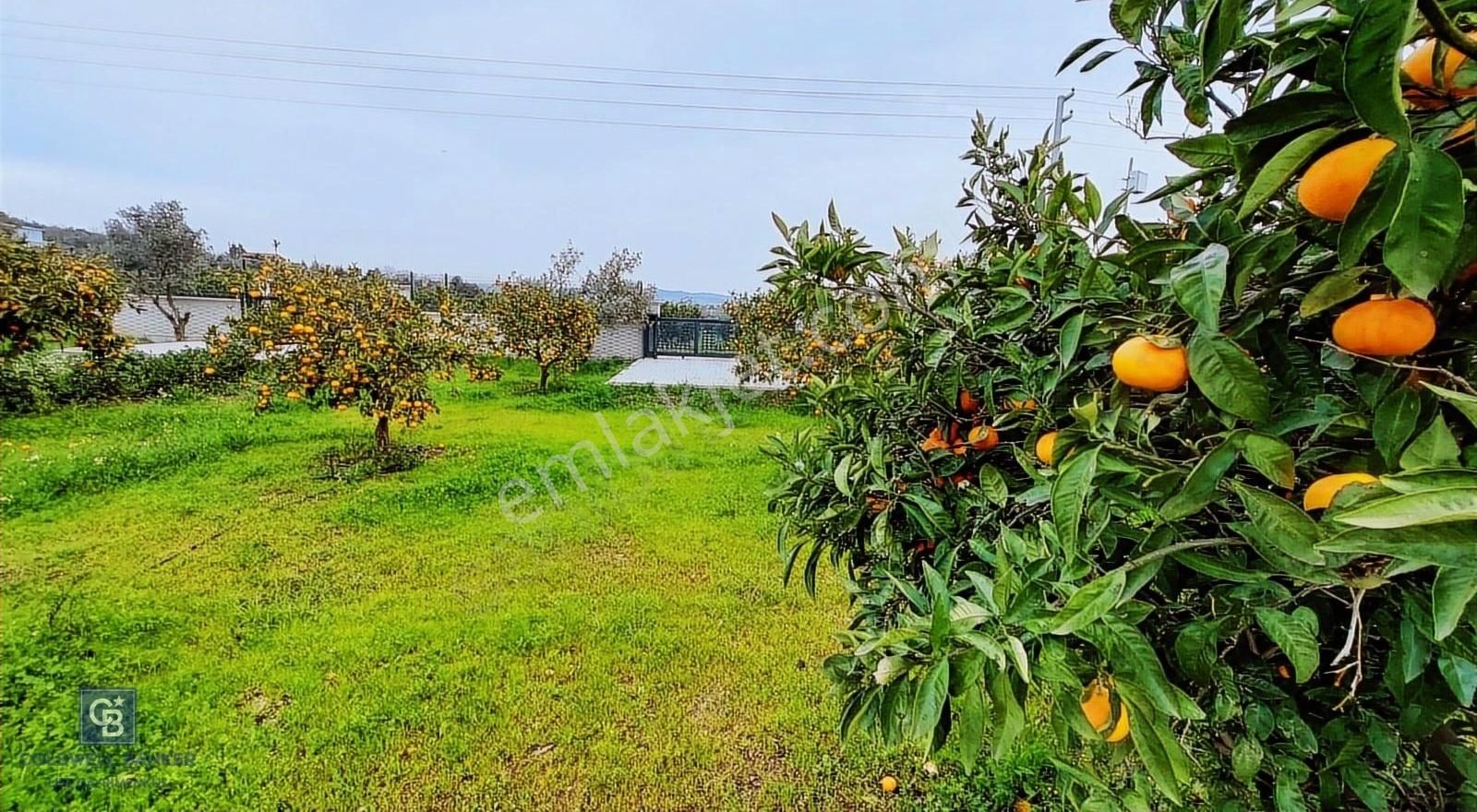 Seferihisar'da Projelendirilmiş Müstakil Girişli Satılık Bahçe - Görsel 2