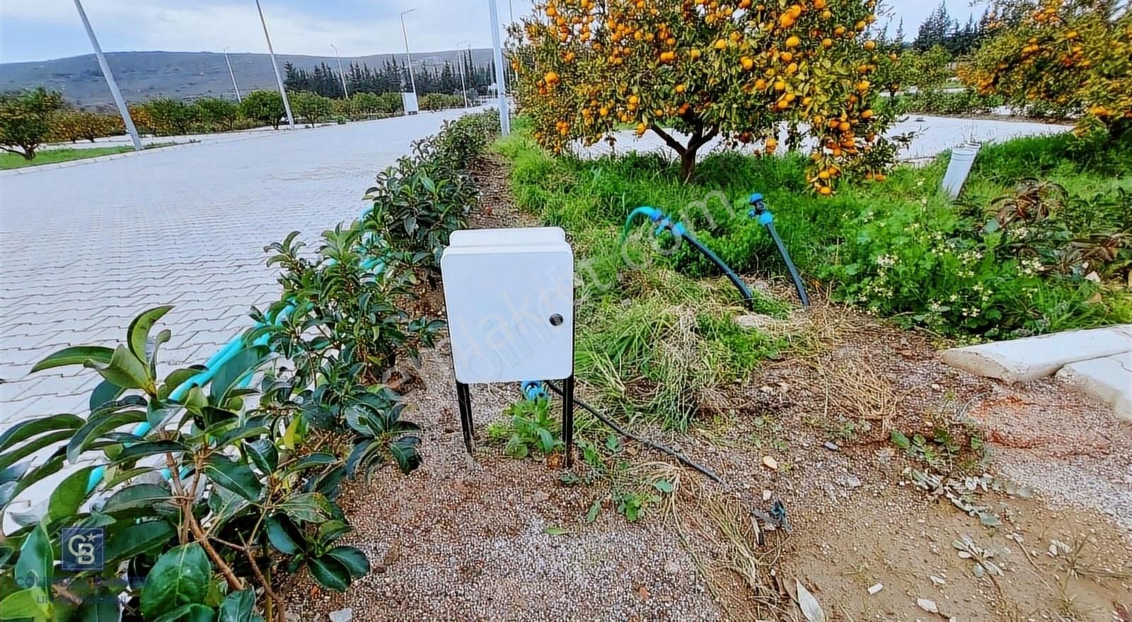 Seferihisar'da Projelendirilmiş Müstakil Girişli Satılık Bahçe - Görsel 8