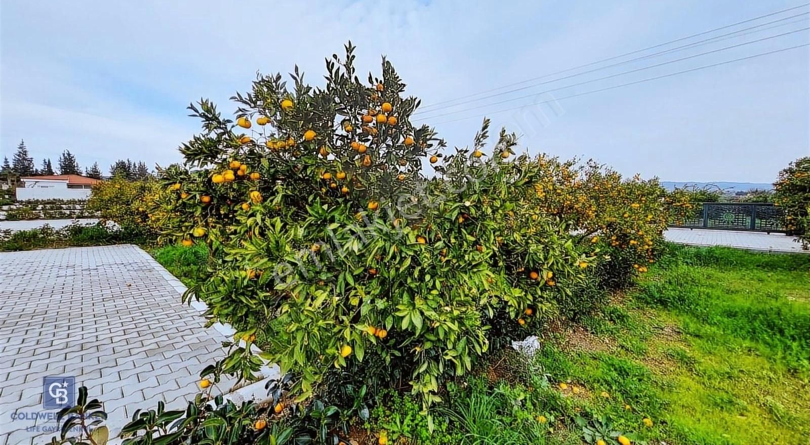 Seferihisar'da Projelendirilmiş Müstakil Girişli Satılık Bahçe - Görsel 3