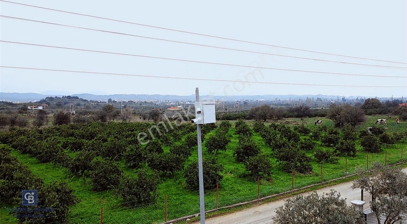 Seferihisar'da Projelendirilmiş Müstakil Girişli Satılık Bahçe - Görsel 9