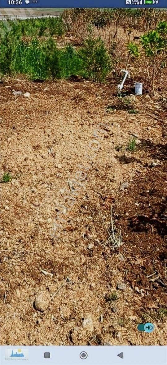Hedhedkide Satılık Hobi Bahçesi