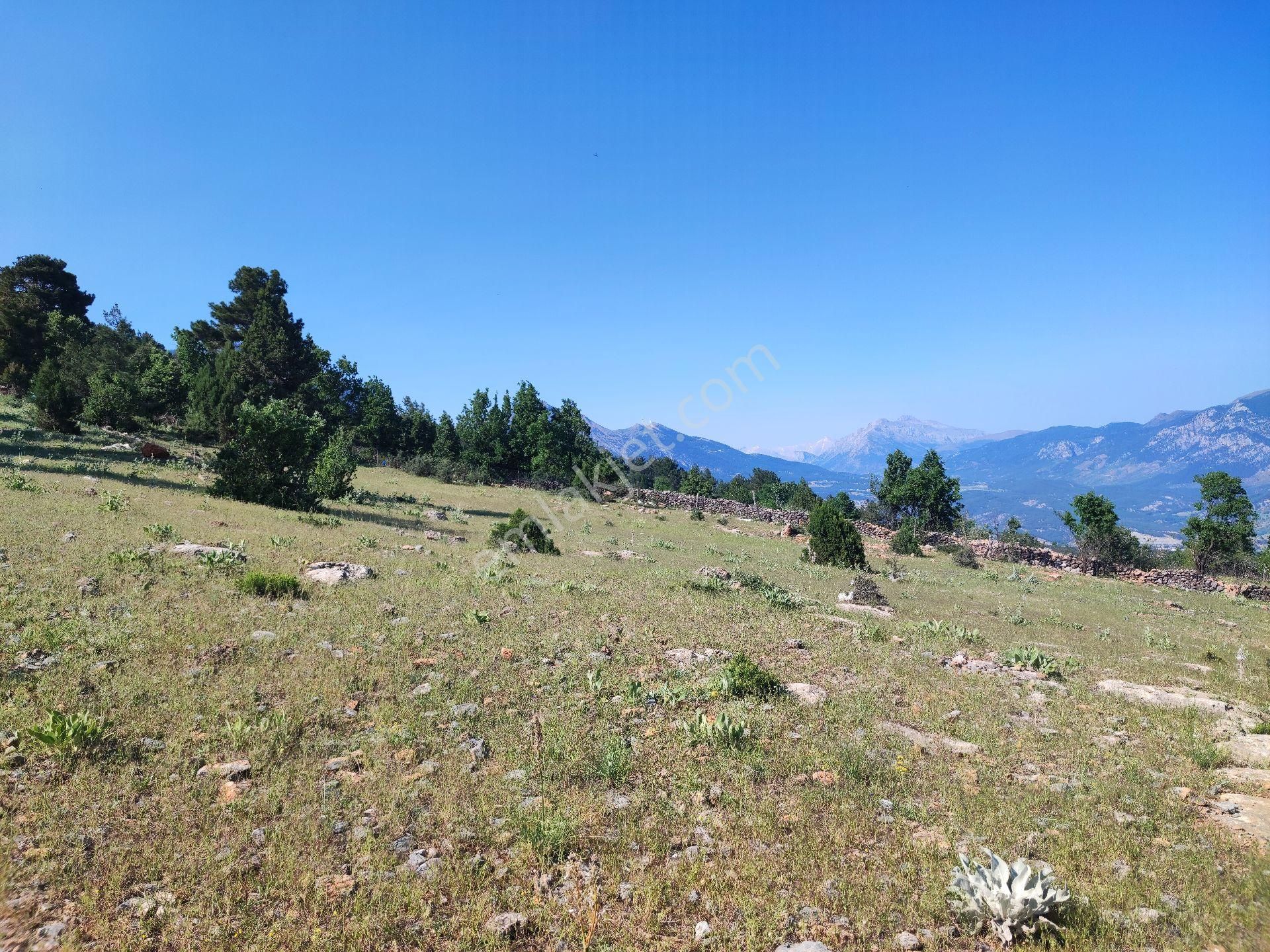 Pozantı Kar Emlak Tan Yeni Konacık Ta Yüksek Konumlu 400 M2 Satılık Arsa - Görsel 13