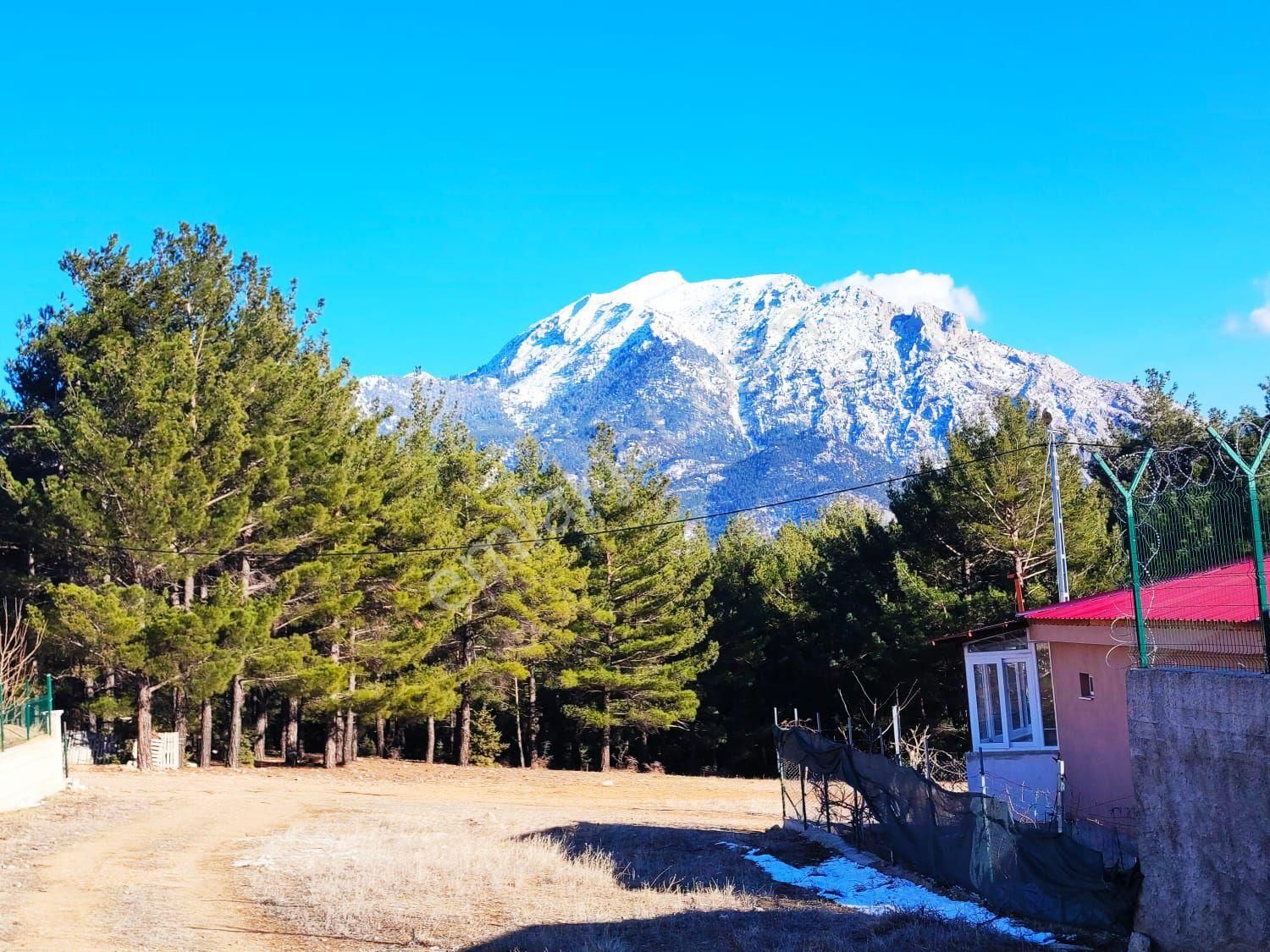 Pozantı Yeni Konacık Kırıntı Mevkiinde Satılık Arsa
